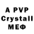 APVP СК КРИС Stasi