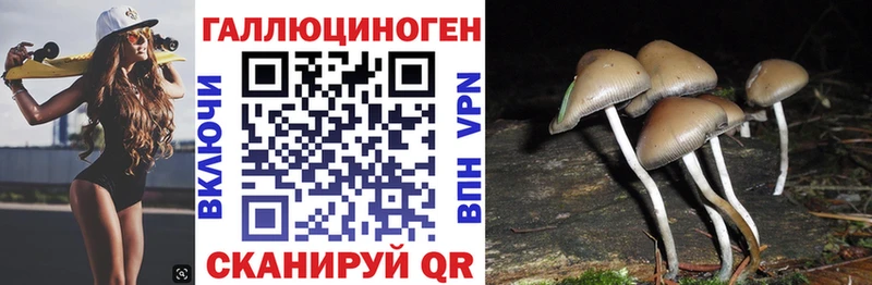 Галлюциногенные грибы прущие грибы  Светлый 